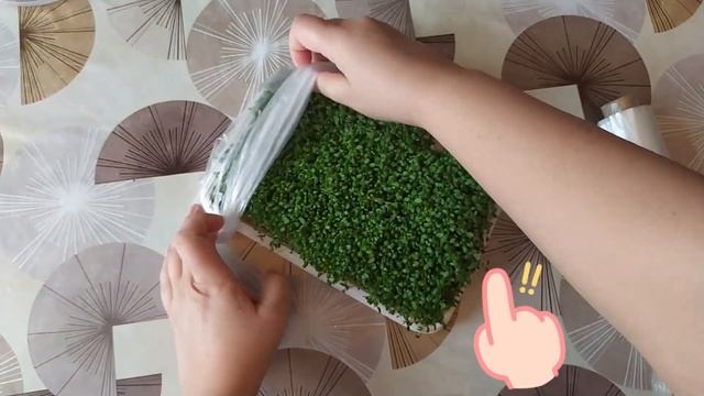 как хранить люцерну смотреть онлайн