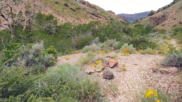 Pike Creek смотреть онлайн