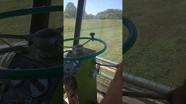 свинорой сюка смотреть онлайн
