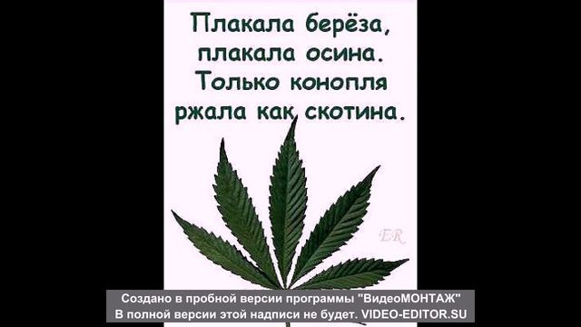 ГТВС 2014 смотреть онлайн