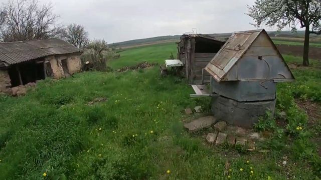 обзор сіна на 2021, Яровий ячмень на огороде смотреть онлайн
