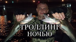 Судак на троллинг ночью