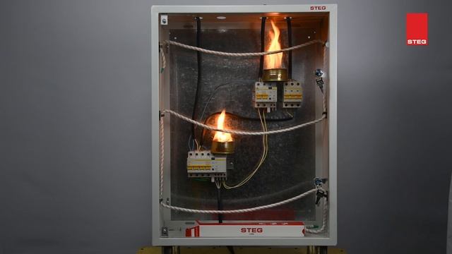 STEG Cord presentation смотреть онлайн