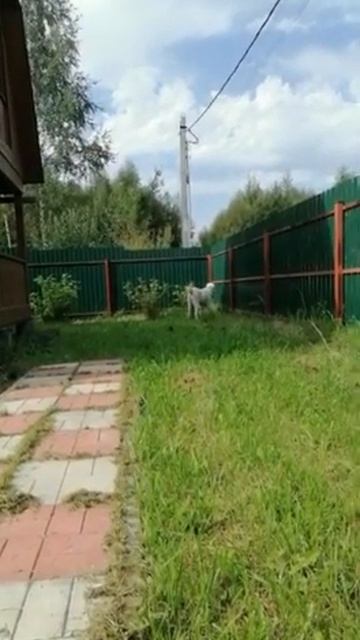 ПОЗДРАВЛЯЮ помет Л с днем рождения 5 лет !!! Долгих лет жизни выпускница ТИМЕРТАШ ЛУССУРИЯ (Москва) смотреть онлайн