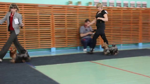 MVI_0989 смотреть онлайн