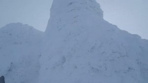 Мамонти, мамонти пруться на пролом....