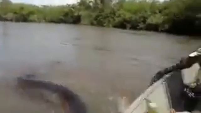 Гигантская анаконда смотреть онлайн