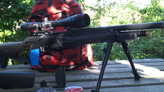 Stoeger XM1, tir à 100 mètres Incroyablement Précis , carabine à plombs PCP смотреть онлайн