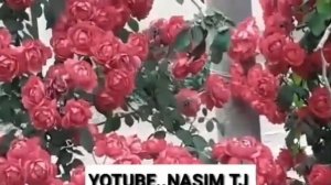 Алвидо рамазон тасбехи дахаи рамазон