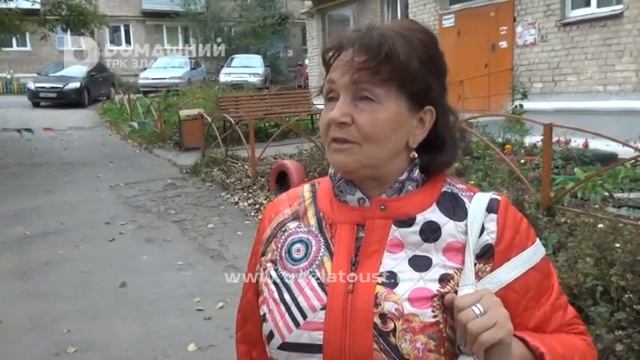 На дворе упал спиленный тополь смотреть онлайн