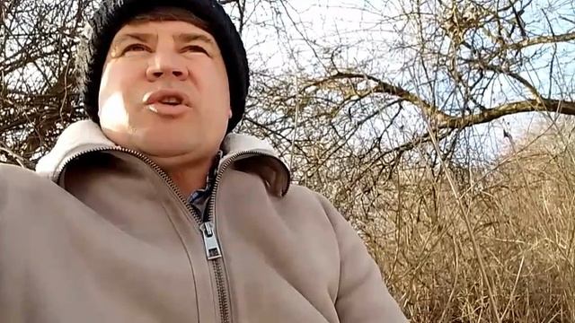 Волчья луна.