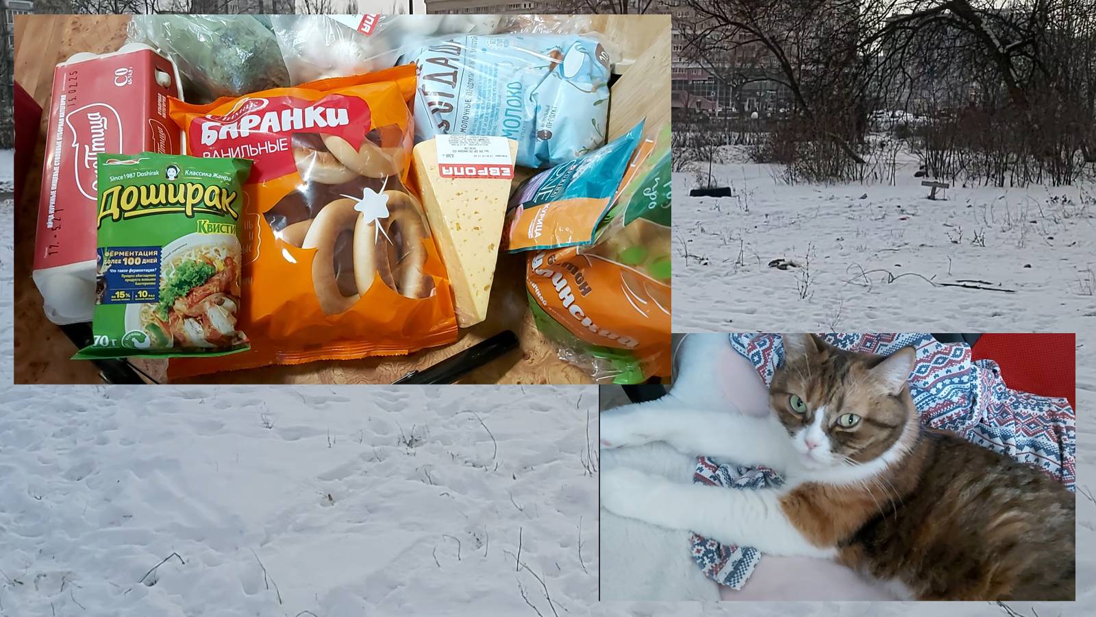 Размышления о комментариях. Заказ с авито. Закупочка))) Квартиру за пятилетку!!!))) смотреть онлайн