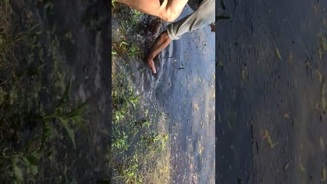 Спасаем рыбу с сетей смотреть онлайн