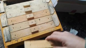 Нуклеусы погибли