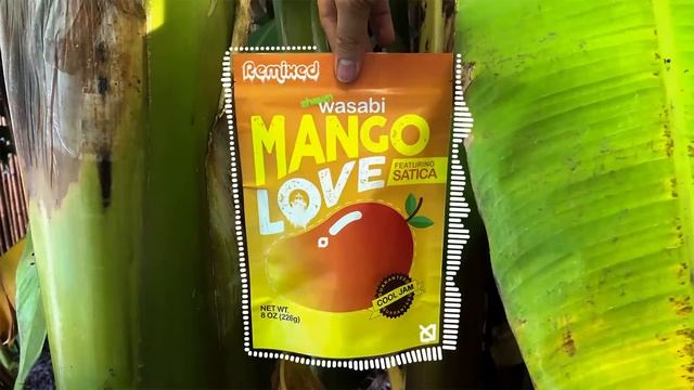 Shawn Wasabi - MANGO LOVE (ft. Satica) [Lighthøuse remix] смотреть онлайн
