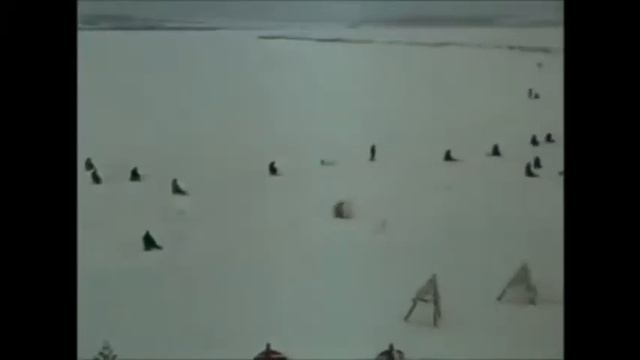 26 февраля 2020 г. смотреть онлайн