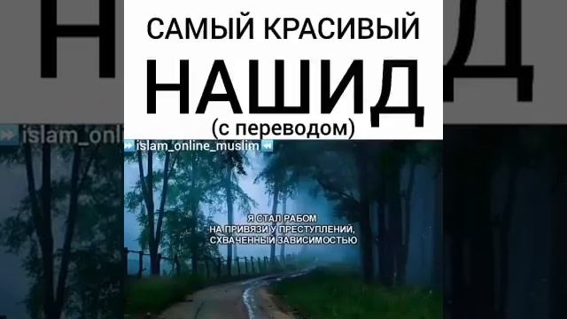 Самое красивое нашид ИНШОАЛЛОХ ПОСЛУШАЙТЕ до конца смотреть онлайн