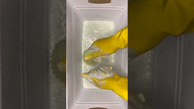 ASMR satisfying yellow citrus смотреть онлайн