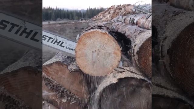Заточной станок для цепной пилы смотреть онлайн