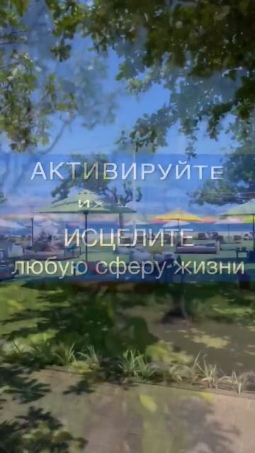 ОТКРЫВАЮ ДОСТУП К УРОКАМ МАРАФОНА ПО ЧАКРАМ #нейрографика рисование #чакроанализ смотреть онлайн