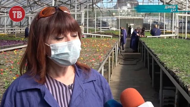 Высадка цветов в центре столицы смотреть онлайн