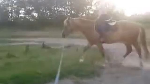 Рысь 1 смотреть онлайн