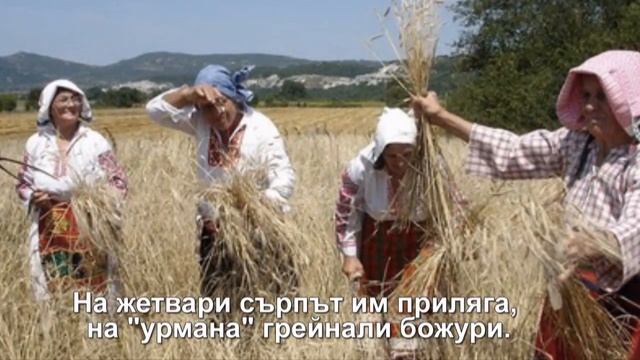 РОДЕН КРАЙ смотреть онлайн