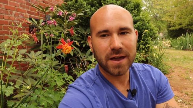 Spring Garden Tour 2018 🌷😁 / Colorful Gardener смотреть онлайн