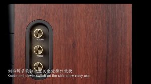 HIVI SWAN D200  HiFi