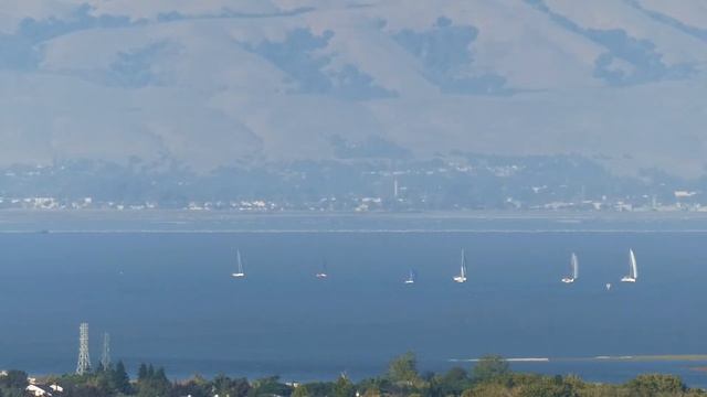 Sequoia Yacht Club ~ August 17, 2022 ~ Sunset Racing смотреть онлайн