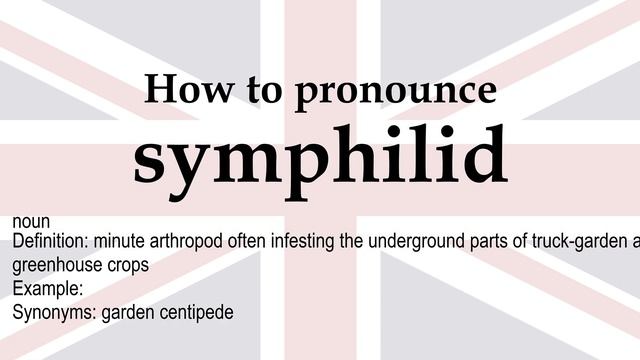 How to pronounce 'symphilid' + meaning смотреть онлайн