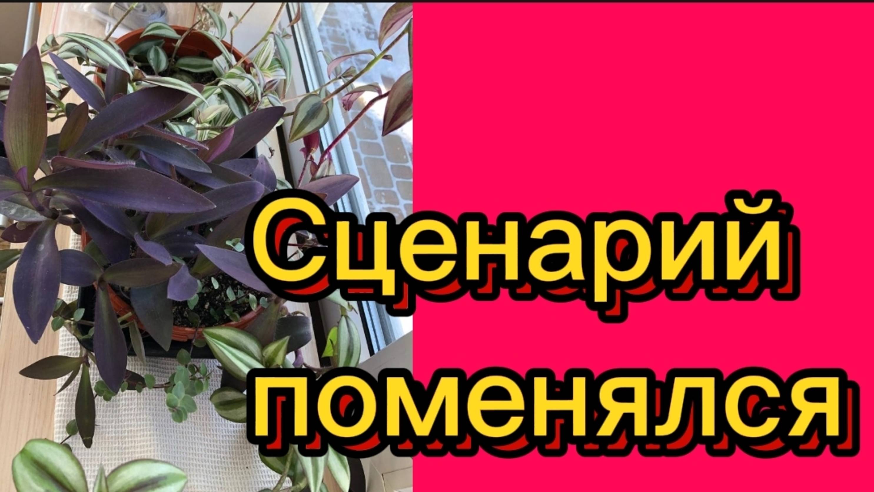 ДЕРЕВЕНСКИЙ ДНЕВНИК. Сценарий поменялся. смотреть онлайн