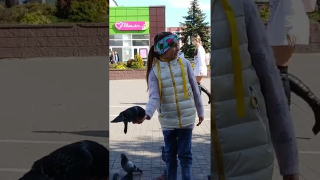 Дети, музыка и голуби. смотреть онлайн