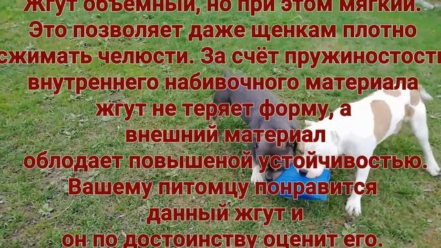 Жгут "КИРПИЧ" для собак смотреть онлайн