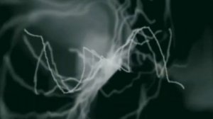 Роберт Шекли - Специалист