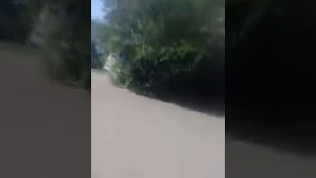 Круг|Катания на велосипеде|#1 смотреть онлайн