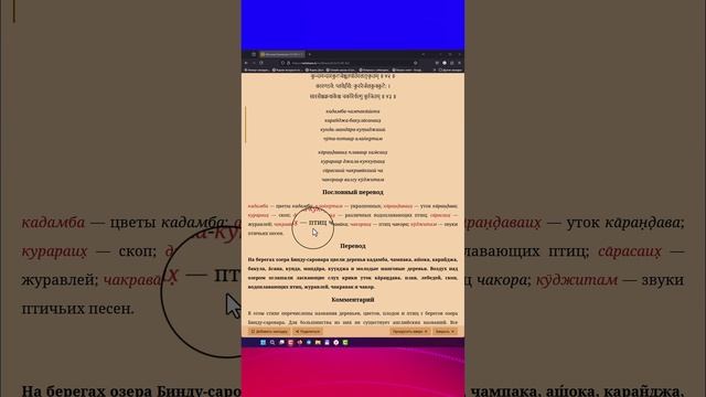 ШБ 3.21.42-43 смотреть онлайн