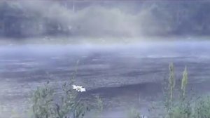 А я еду за туманом и за запахом тайги