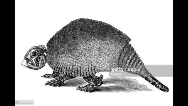 Panochthus - Pequeño Tanque de la Pampa - DinoPedias 🇦🇷🇧🇴🇧🇷🇵🇾🇺🇾 смотреть онлайн