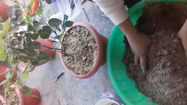 How to make Garden soil for flower смотреть онлайн