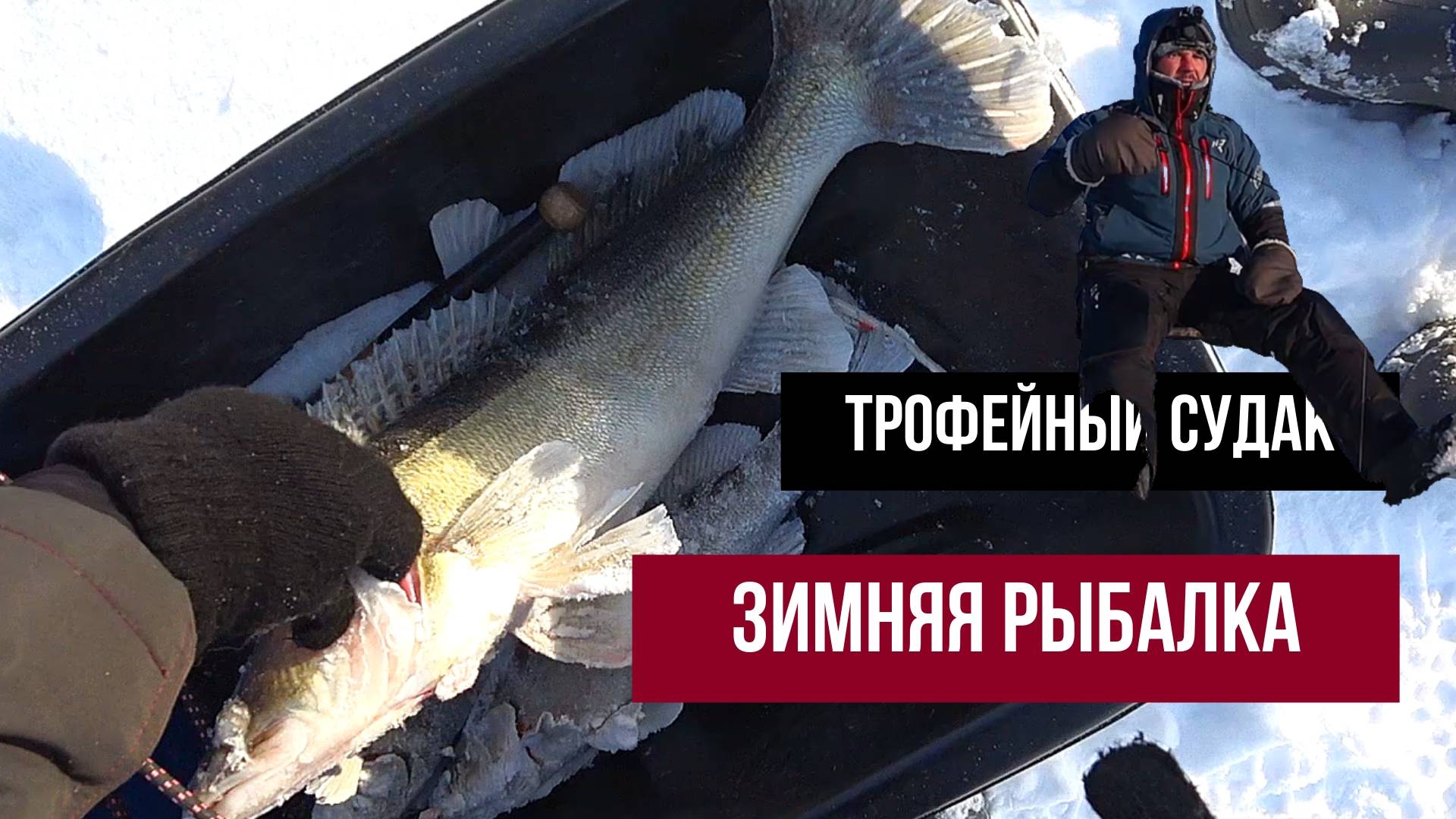 ТРОФЕЙНЫЙ СУДАК: ЗИМНЯЯ РЫБАЛКА С НЕОЖИДАННЫМ ИТОГОМ смотреть онлайн
