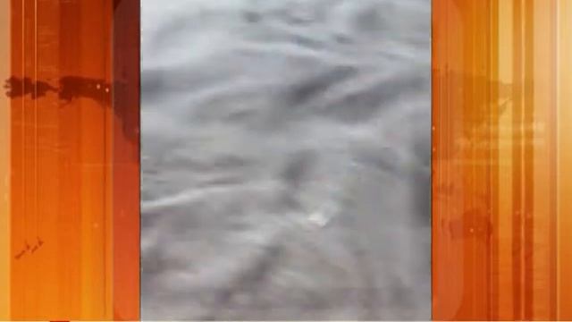 КРАЖА СЕМЯН 18.07.19 смотреть онлайн