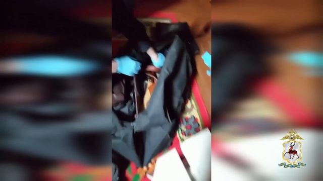 Незаконно хранившиеся оружие и патроны изъяты полицейскими в Нижегородской области смотреть онлайн