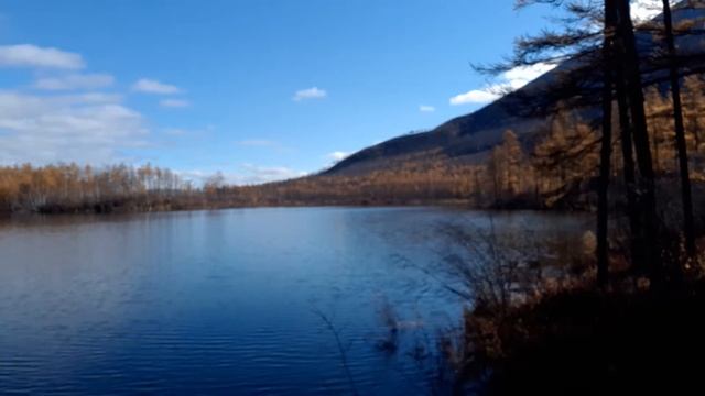 Первая в жизни добыча рябчик! смотреть онлайн