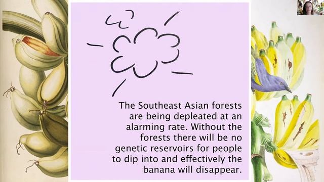 The Endangered Banana: Louisa Durkin on biodiversity and food security смотреть онлайн