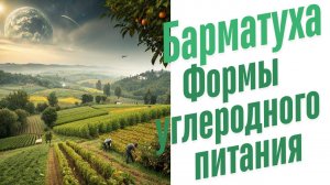 Форма питания растений.