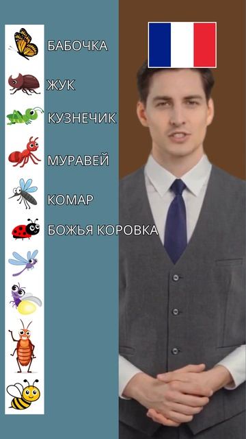 Insect Vocabulary in Russian смотреть онлайн