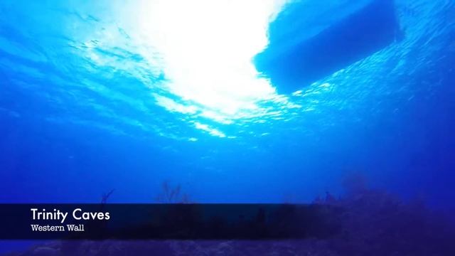 Diving Grand Cayman 2013 смотреть онлайн