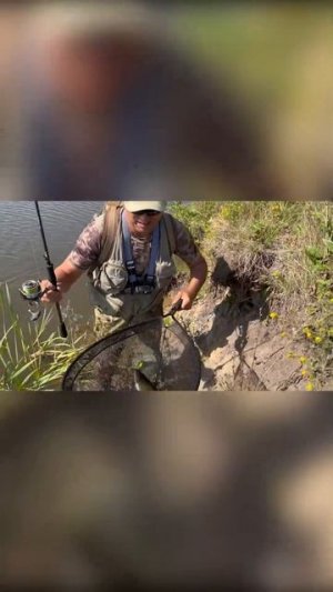 Неожиданно клюнул! Судак и так тоже может! #рыбалка #спиннинг #судак #джиг