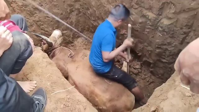 LA TEP NOH IA KA MET BA SAH U JARAH RIT MASI BA PAW BHA KA RI KHASI(04/04/23)😭😭😭😭😭 смотреть онлайн